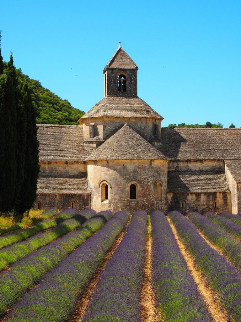 Expert en restauration-à Vaugines