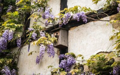 Spécialiste rénovation à la Bastide-des-Jourdans