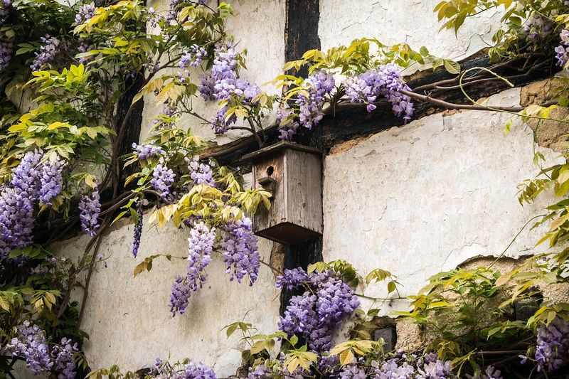 Expert en restauration-à Saint-Martin-les-eaux